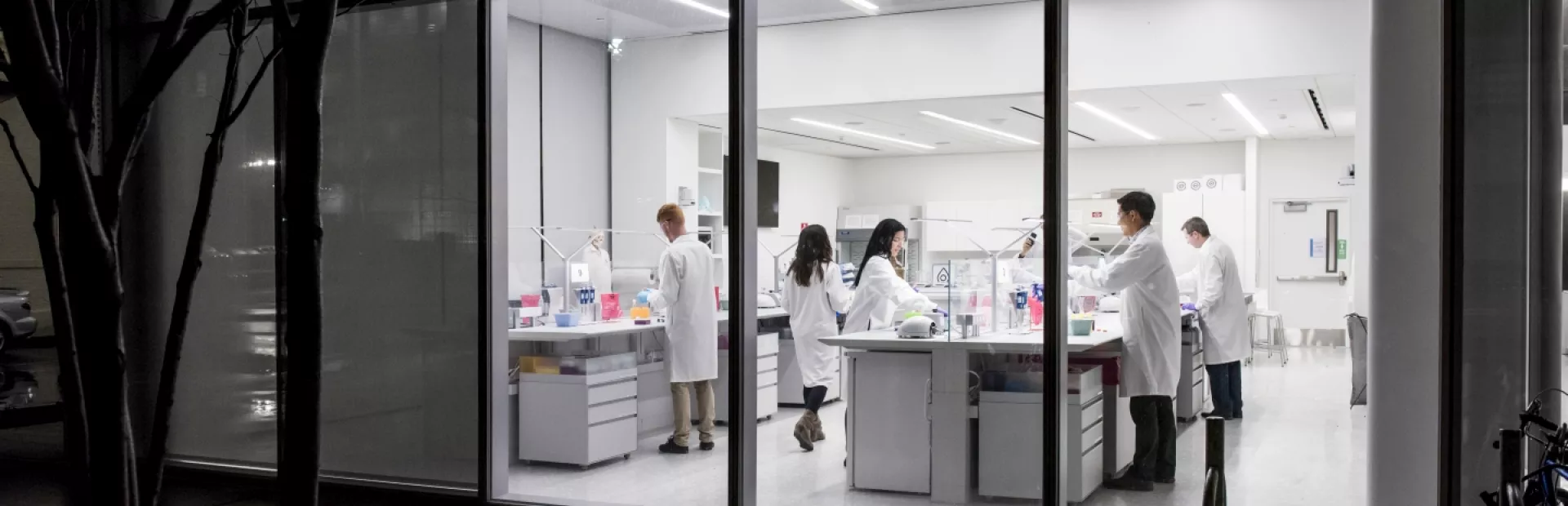 Researchers in a lab